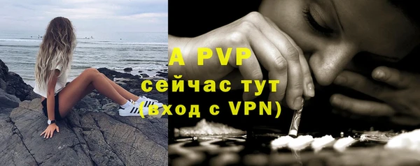 таблы Богородицк