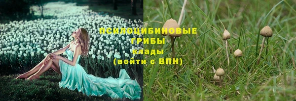 PSILOCYBIN Белокуриха