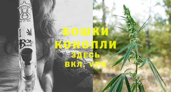 apvp Богданович
