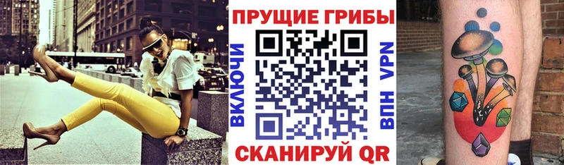 хочу Октябрьский Галлюциногенные грибы прущие грибы
